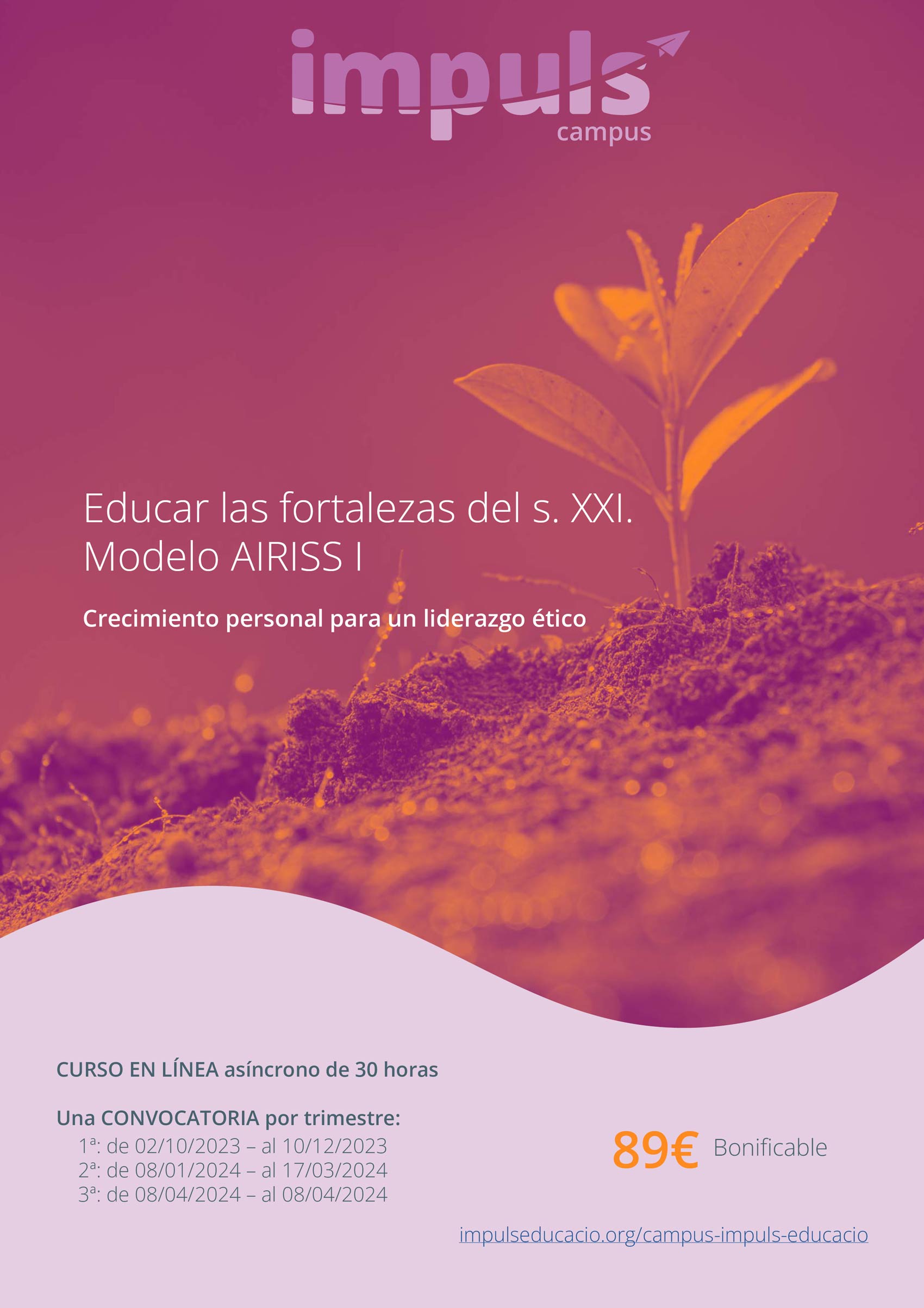 Cartel-promoción-cursos-página-web_AIRISS-I
